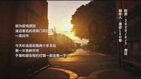 寻找萌小老虎