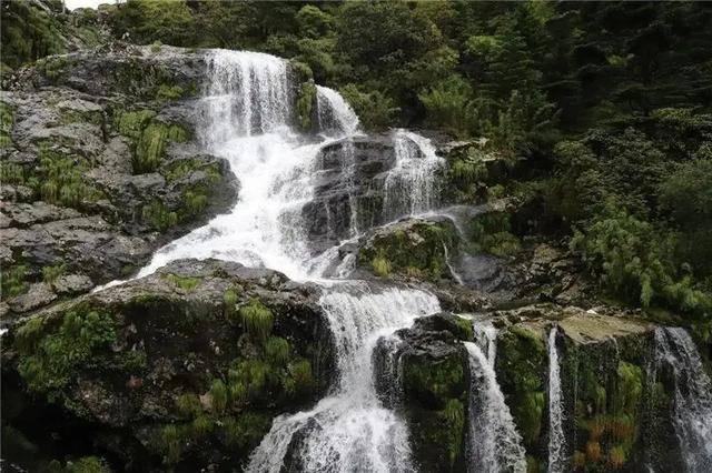针织裙